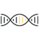 line3Image DNA Strand